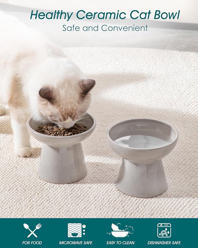 vancasso Ceramic Elevated Cat Bowls 2-Pack - 6.2" Extra Wide Raised Cat Food & Water Dishes, 5.1" Optimal Height Anti-Whisker Fatigue Shallow Bowls for Cats/Kittens/Dogs, Lead & Cadmium Free (Grey)