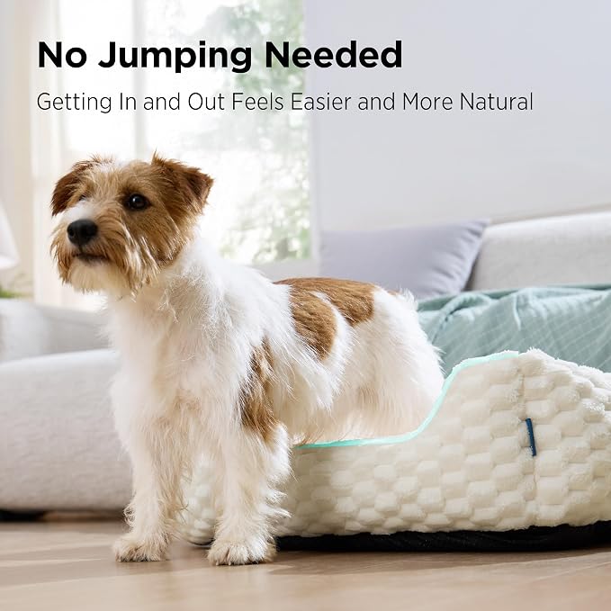 Bedsure Washable Dog Beds Large Sized Dog with Bubble Fleece,35in Cream | Cute Pet Bed,Fluffy Cuddler Pet Couch,Neck-Friendly Bolster,Non-Slip Bottom,Machine Washable Removable Cover ,Up to 50 lbs