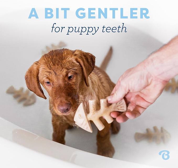 Benebone Puppy Fishbone Dog Chew Toys, Softer for Modest Chewers, Made in USA