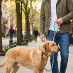 Mile High Life Dog Leash Braided Cotton Rope with Leather-Reinforced Ends | Rust-proof 360° swivel clasp, Heavy-duty for medium/large breeds. Great for weddings, daily walks (4 FT, 1/2", Green)