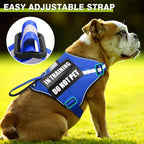 Service Dog Harness and Leash Set, Training Dog Vest with 10 Dog Patches, Emotional Support Therapy Dog Vest Harness for Small Medium Large and Extra Large Dogs(Blue, XS)