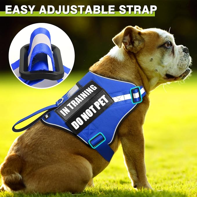 Service Dog Harness and Leash Set, Training Dog Vest with 10 Dog Patches, Emotional Support Therapy Dog Vest Harness for Small Medium Large and Extra Large Dogs(Blue, XL)