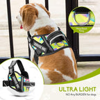 Service Dog Vest Harness and Leash Set, Animire in Training Dog Harness with 10 Dog Patches, Reflective Dog Leash with Soft Padded Handle for Small, Medium, Large, and Extra-Large Dogs
