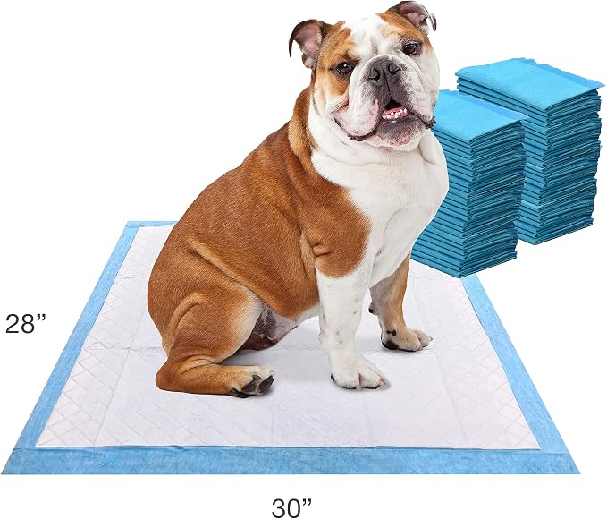 Four Paws Wee-Wee Odor Control Dog Pee Pads with Febreze Freshness