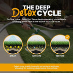 Urine & Odor Turf Detox Mango Enzyme Cleaner, 32 oz, 2-Pack | Professional odor eliminator for artificial grass, turf, concrete, patios and kennels; pet urine cleaner for dogs and cats