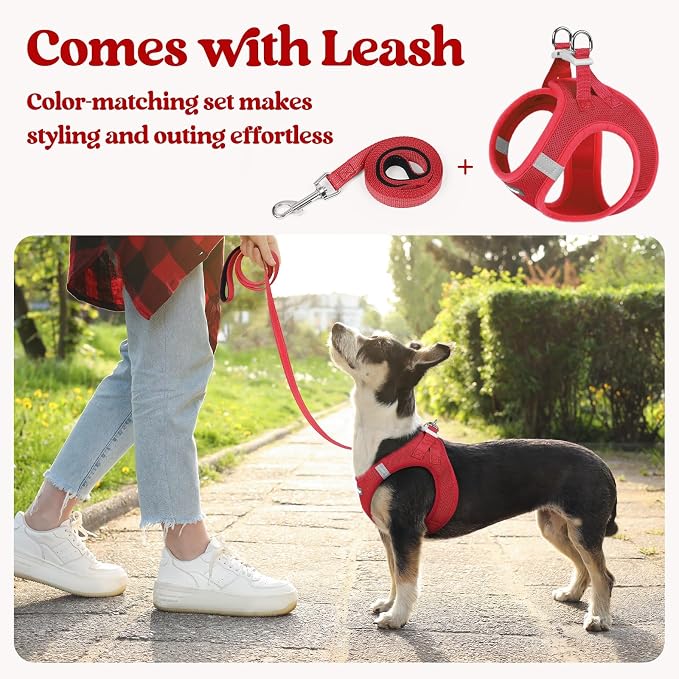 rabbitgoo Dog Harness Medium Sized and Leash Set, Step-in Puppy Pet Vest | Light, Soft, Breathable Air Mesh, Easy on and Remove with Hook & Loop, Secure Reflective for Walking, Red XL