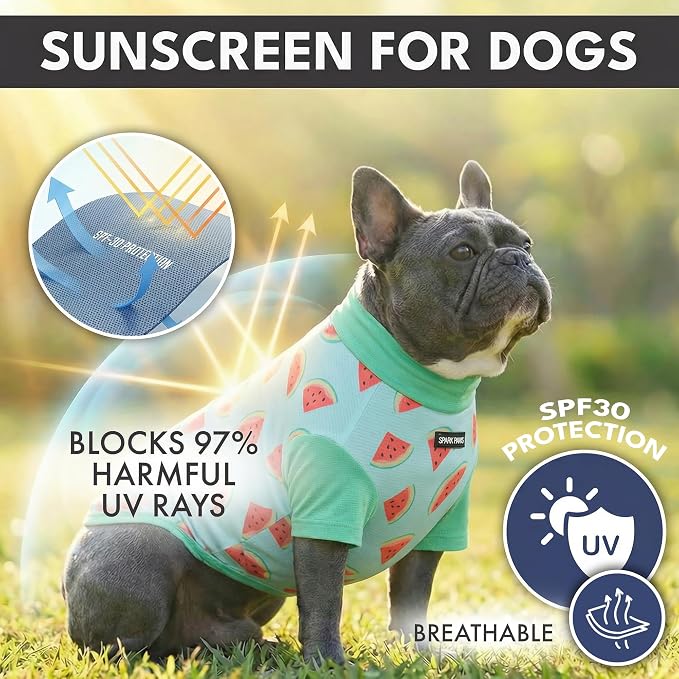 Spark Paws Sunblock Dog T-Shirt, SPF30 Protection, Lightweight Breathable Quick Dry for Dogs with Sensitive Skin - Bees & Watermelon (Set of 2) - Size S