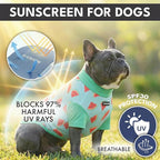 Spark Paws Sunblock Dog T-Shirt, SPF30 Protection, Lightweight Breathable Quick Dry for Dogs with Sensitive Skin - Bees & Watermelon (Set of 2) - Size S