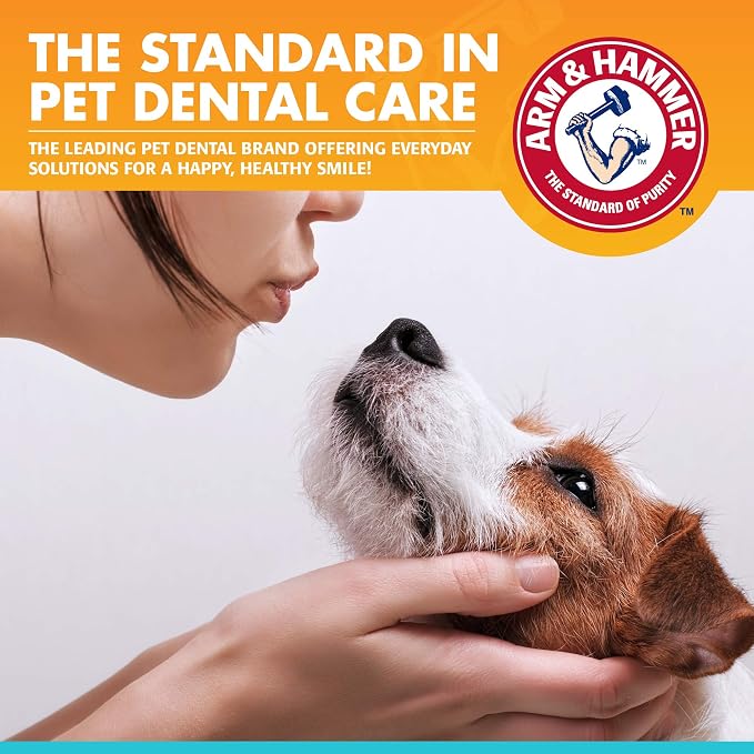 Arm & Hammer Fresh Breath Enzymatic Dog Toothpaste, 2.5 Oz, 72-Pack | Baking soda dental gel eliminates bad breath, safe for daily use in puppies and adult dogs