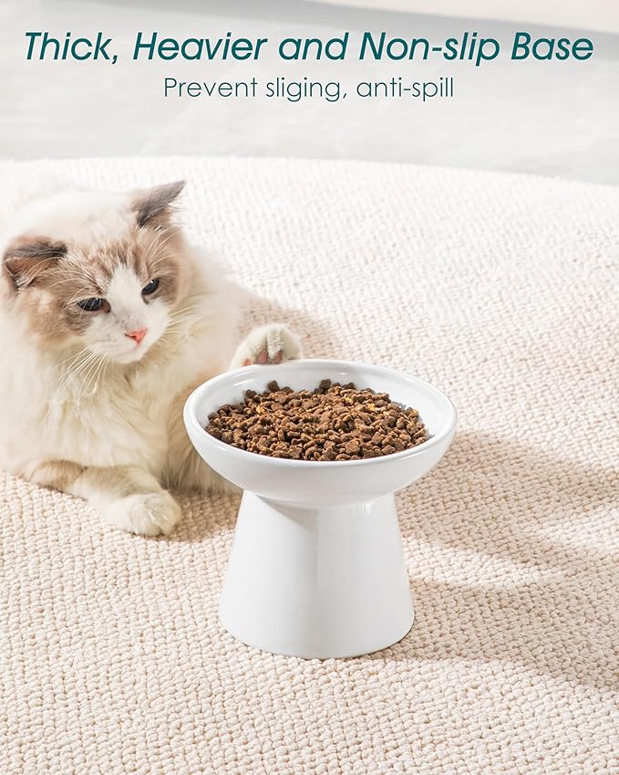 vancasso Extra Wide Elevated Cat Bowls 2-Pack, Shallow Ceramic Raised Cat Food and Water Bowls with 5.1" Height & 6.2" Wide - Anti Vomiting, Whisker Friendly for Senior Cats, and Small Dogs (White)