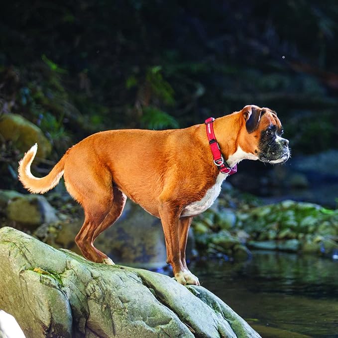 EzyDog Double Up Dog Collar, Strong Double D-Rings - X-Large, Green Camo | Dual D-Rings for Superior Strength, Safety, and Comfort, Soft Touch Nylon Webbing, Reflective Stitching, Id Attachement Point