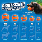 Chuckit! Ultra Ball Dog Toy - Medium Bouncy Fetch Balls For Dogs 20-60 lbs - Made from Durable Rubber - Floating Water Pet Toys - Size Medium - 2.5-inch Diameter - Pack of 4