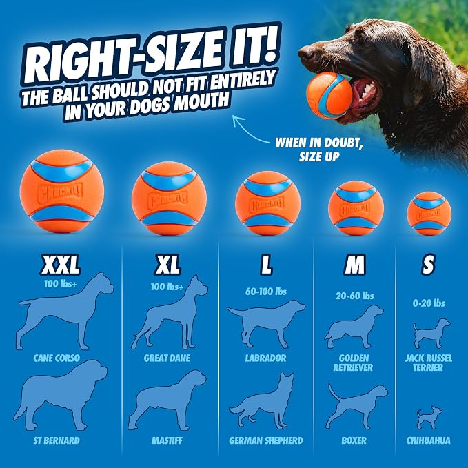 Chuckit! Ultra Ball Dog Toy - Medium Bouncy Fetch Balls For Dogs 20-60 lbs - Made from Durable Rubber - Floating Water Pet Toys - Size Medium - 2.5-inch Diameter - Pack of 2 | Bouncy durable rubber design for pups 20-60 lbs, high bounce action for acti...