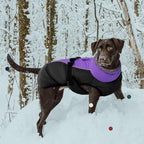 IECOii Extra Warm & Reflective Dog Jacket - Fleece Turtleneck Winter Coat - Adjustable Buckles - Small to Extra Large - Perfect for Cold Weather