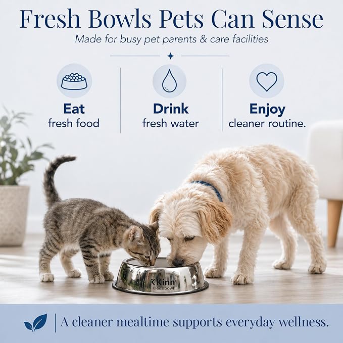 Kinn Kleanbowl Pet Bowl Stainless Steel Frame, 24 oz (Pack of 2) | Compostable Refills, Spill-Proof Stable, Disposable, Easy Cleaning, No Plastic
