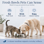 Kinn Kleanbowl Pet Bowl Stainless Steel Frame, 32 oz | Compostable Refills, Spill-Proof Stable, Disposable, Easy Cleaning, No Plastic