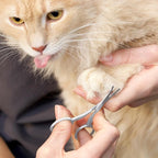 Tweezerman Pet Grooming Scissors-Rounded Tip Trimming Scissor for Dogs/Cats