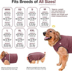 BellyGuard Dog Surgery Recovery Suit, Post-Op Dog Recovery Suit for Female Spay & Male Neuter, Comfy Onesie for Pets, Surgical Body Cover for Canine Healing Support