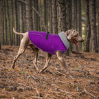 Lelepet Dog Winter Coats for Large Dogs Dog Jacket with Adjustable Buckle | Waterproof Reflective Pet Fleece Vest Windproof Cold Weather Coats with Adjustable Buckle & Leash Hole, Turtleneck, XXXL
