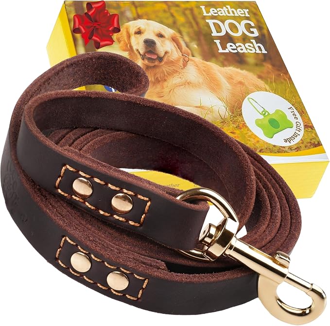 Leather Dog Leash 6 ft x 3/4 inch - Soft, Strong, Heavy Duty for Large & Medium Breeds - Dog Lead for Walking (Brown - Gold Colored Clasp, L - 6 ft x 3/4 inch)