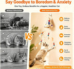 Interactive Cat Toys for Indoor Cats, Automatic Hanging Cat Hunting Toy | Randomly rising hidden prey feather keeps cats hunting active and entertained while reducing boredom and destructive behavior