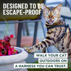 Houdini™ Escape Proof Cat Harness and Leash (Turquoise, M/L) | Adjustable walking vest with 6ft lead, breathable mesh, secure snug fit, lightweight for travel, hikes and daily adventures