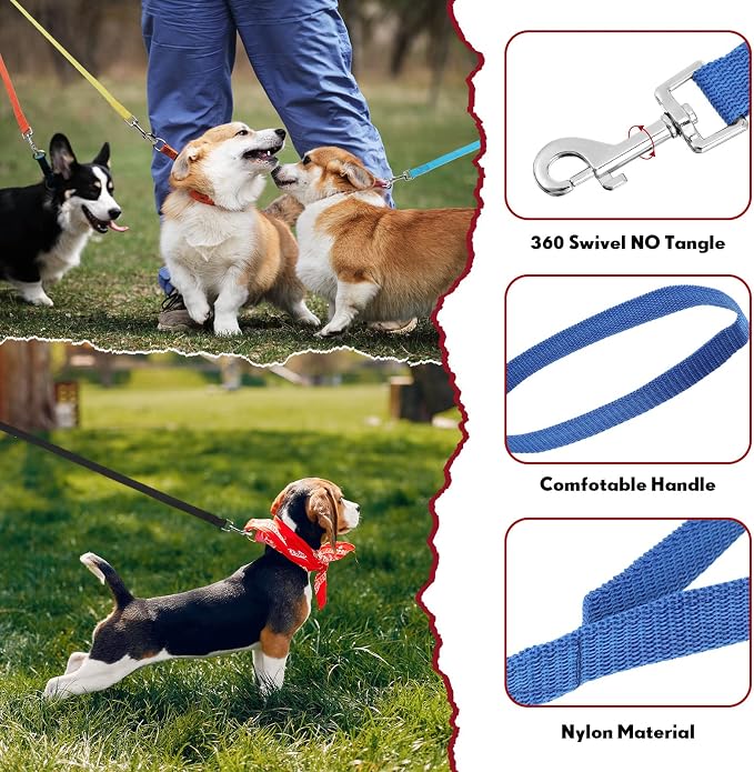24 Pack Nylon Dog Training Leash Bulk 5 ft Dog Leash for Small and Medium Puppy Traction Rope for Training, Play, Camping, or Backyard, 12 Assorted Colors(Vibrant Colors)