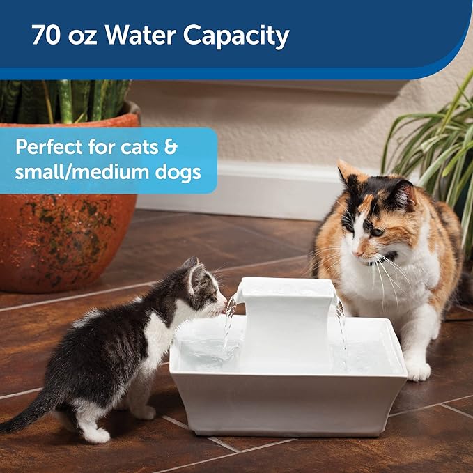 PetSafe Drinkwell Pagoda Fountain, Filters Included, 70 oz Ceramic, White | 2 Free-Falling Water Streams Encourage Hydration, Pet Water Fountain for Cats & Small Dogs, Replaceable Carbon & Foam Filters