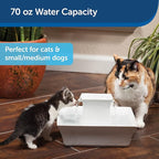 PetSafe Drinkwell Pagoda Fountain, Filters Included, 70 oz Ceramic, White | 2 Free-Falling Water Streams Encourage Hydration, Pet Water Fountain for Cats & Small Dogs, Replaceable Carbon & Foam Filters