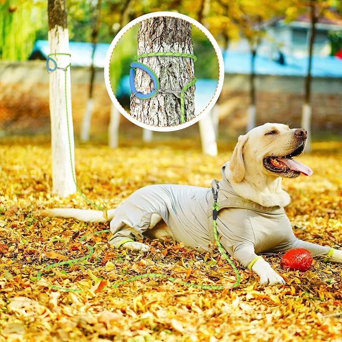 NTR 15FT Training Leash for Dogs, Nylon Rope Dog Leash with 2 Swivel Hooks and Comfortable Padded Handle, Cat Puppy Leash Lead for Small Medium Large Dogs Training, Playing, Camping, or Backyard