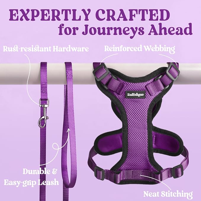 rabbitgoo Cat Harness and Leash Set, Escape Proof Vest, Purple | Soft Breathable Mesh, Easy Adjustable Fit, Snap Buckles, Sturdy Clip, Reflective Strips, for Small & Average Cats Walks, Xs