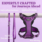 rabbitgoo Cat Harness and Leash Set, Escape Proof Vest, Purple | Soft Breathable Mesh, Easy Adjustable Fit, Snap Buckles, Sturdy Clip, Reflective Strips, for Small & Average Cats Walks, Xs