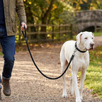 Mile High Life Dog Leash Braided Cotton Rope with Leather-Reinforced Ends | Rust-proof 360° swivel clasp, Heavy-duty for medium/large breeds. Great for weddings, daily walks (4 FT, 1/2", Black)