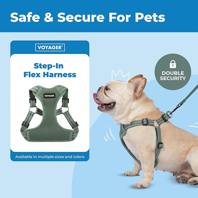 Voyager Step-in Flex Adjustable Dog Harness - Moss Green, Small | 15 - 18" in Chest, Fully Adjustable, Reflective Bands, All Weather Breathable Air Mesh, Lightweight, Fast Drying