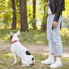 Dogline Biothane Waterproof Dog Leash Strong Coated Nylon Webbing with Black Hardware Odor-Proof Easy to Clean High Performance for Small or Large Dogs Made in USA 2 ft Lead, Safety Yellow