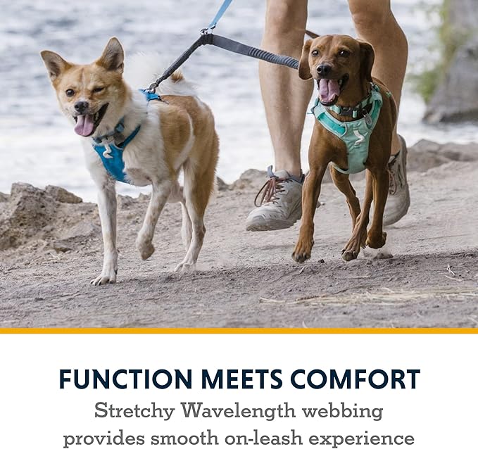 Ruffwear, Double Track Coupler, Double Leash for Two Dogs, Premium Heavy Duty Dual Splitter with 360° Lockable Swivel No Tangle, Shock-Absorbing Stretch Webbing for Walking & Hiking, Basalt Gray