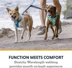 Ruffwear, Double Track Coupler, Double Leash for Two Dogs, Premium Heavy Duty Dual Splitter with 360° Lockable Swivel No Tangle, Shock-Absorbing Stretch Webbing for Walking & Hiking, Basalt Gray