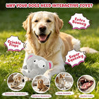 XIAPIA 3-in-1 Plush Elephant Squeaky Dog Toys for Aggressive Chewers | No Stuffing Interactive Dog Toys, Hidden Squeaky Ball & Crinkle Paper, Chew Fetch Toy for Small Large Puppy, Birthday Gift
