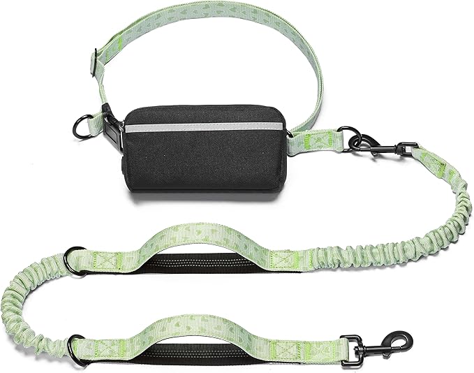 iYoShop Hands Free Dog Leash with Zipper Pouch, Dual Padded Handles and Durable Bungee for Walking, Jogging and Running Your Dog (Green Heart, Large)