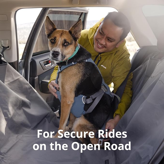Ruffwear, Load Up Dog Car Harness, Padded Adjustable Travel Restraint with Universal Seat Belt Attachment and Strength-Rated Metal Hardware, for Road Trips in Cars & SUVs, Slate Blue, X-Small