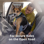 Ruffwear, Load Up Dog Car Harness, Padded Adjustable Travel Restraint with Universal Seat Belt Attachment and Strength-Rated Metal Hardware, for Road Trips in Cars & SUVs, Slate Blue, X-Small
