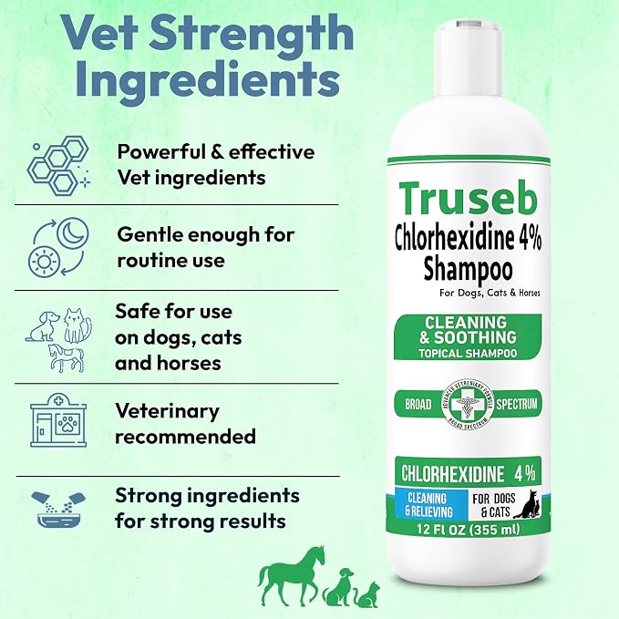 Truseb Topical Chlorhexidine 4% Shampoo for Dogs, Cats, and Horses with Plum/Blueberry Scent - 12 oz - Made in U.S.A (Chlorhexidine 4% Shampoo, 12 oz)