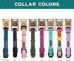Wilderdog Waterproof Dog Collar - Repels Water & Dirt - Large 17"-24" - Aurora