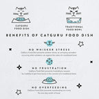 CatGuru Cat Bowls, Whisker Friendly Food Bowl for Indoor Cats, Reliefs Whisker Fatigue, Wide Kitten Dish, Non Slip Pet Dishes, Shallow Pet Plates (Aruba, (Pack of 2))