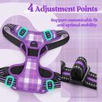 rabbitgoo Dog Harness, No Pull for Small Dogs with 2 Leash Clips, Pet Vest | No Choke with Handle, Adjustable Soft Padded, Reflective, Easy Control for Walking, Purple Plaid, Small