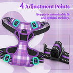 rabbitgoo Dog Harness, No Pull for Large Dogs with 2 Leash Clips, Pet Vest | No Choke with Handle, Adjustable Soft Padded, Reflective, Easy Control for Walking, Purple Plaid, X-Large