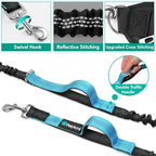 PetAmi Premium Hands Free Dog Leash for 2 Dogs, Adjustable Waist Belt for Dog Walking, Fanny Pack Accessories Bag Dual Bungee for Running, Hiking, Jogging, Biking, Turquoise Blue