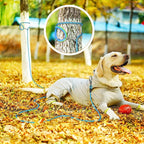 NTR Dog Rope Leash, 15FT Puppy Recall Training Lead, with 2 Swivel Hooks, Reflective Threads and Comfortable Handle, Puppy Leash for Walking, Hunting, Camping, Backyard for Small Medium and Large Dogs