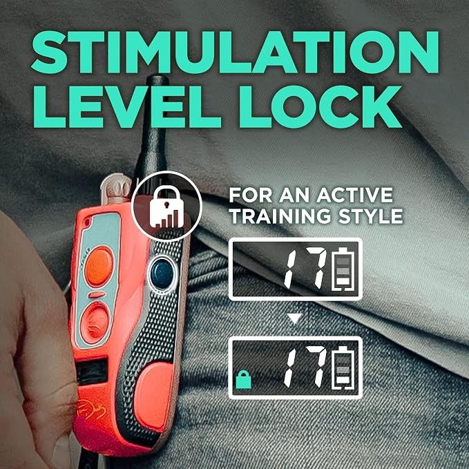 Dogtra E-Collar Tom Davis 280C Boost & Lock, Waterproof, 1/2-Mile Range Dog Training Collar with Remote, Rechargeable, 127 Levels, Vibration, Bungee, No Bad Dogs Trainer for Small, Medium, Large Dogs