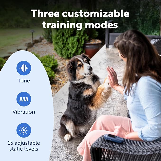 PetSafe Core Dog Trainer Remote Collar, 1000 Ft Range, 15 Static Levels | Tone/Vibration//15 Levels of Static, Waterproof Collar, 1000-Ft Range for Off-Leash Obedience Training